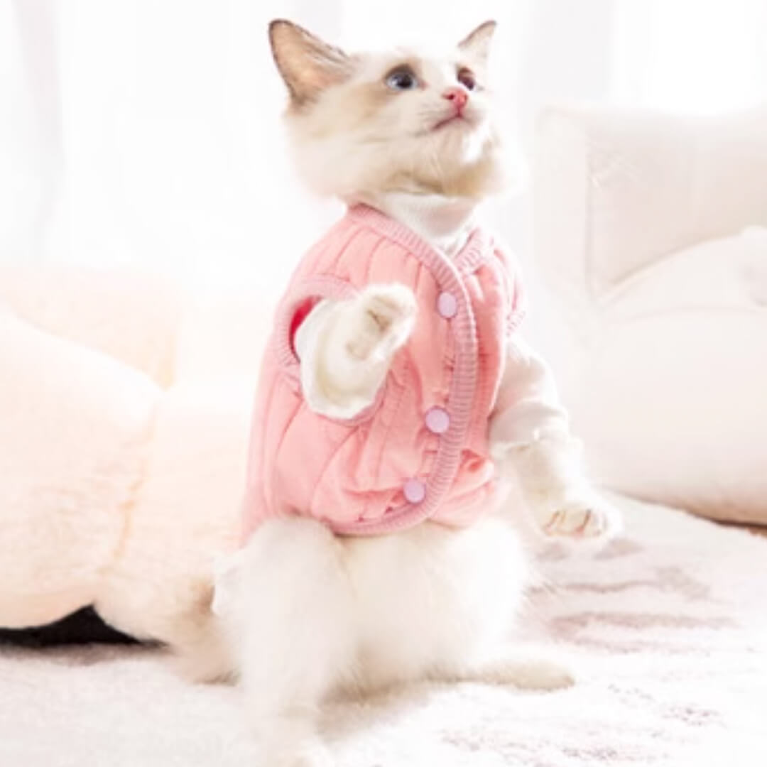 Missy Cat Jacket