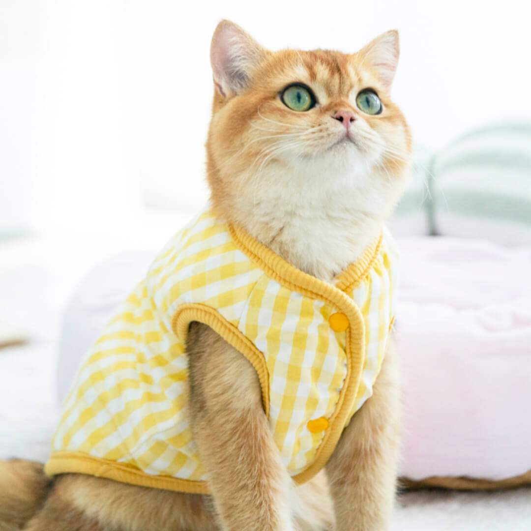 Missy Cat Jacket