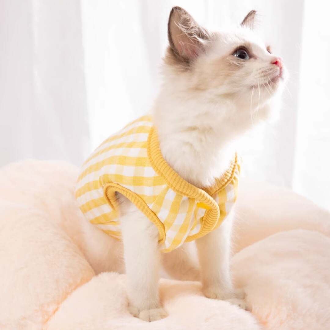 Missy Cat Jacket