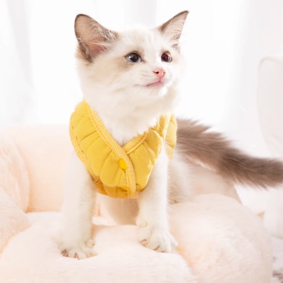 Missy Cat Jacket