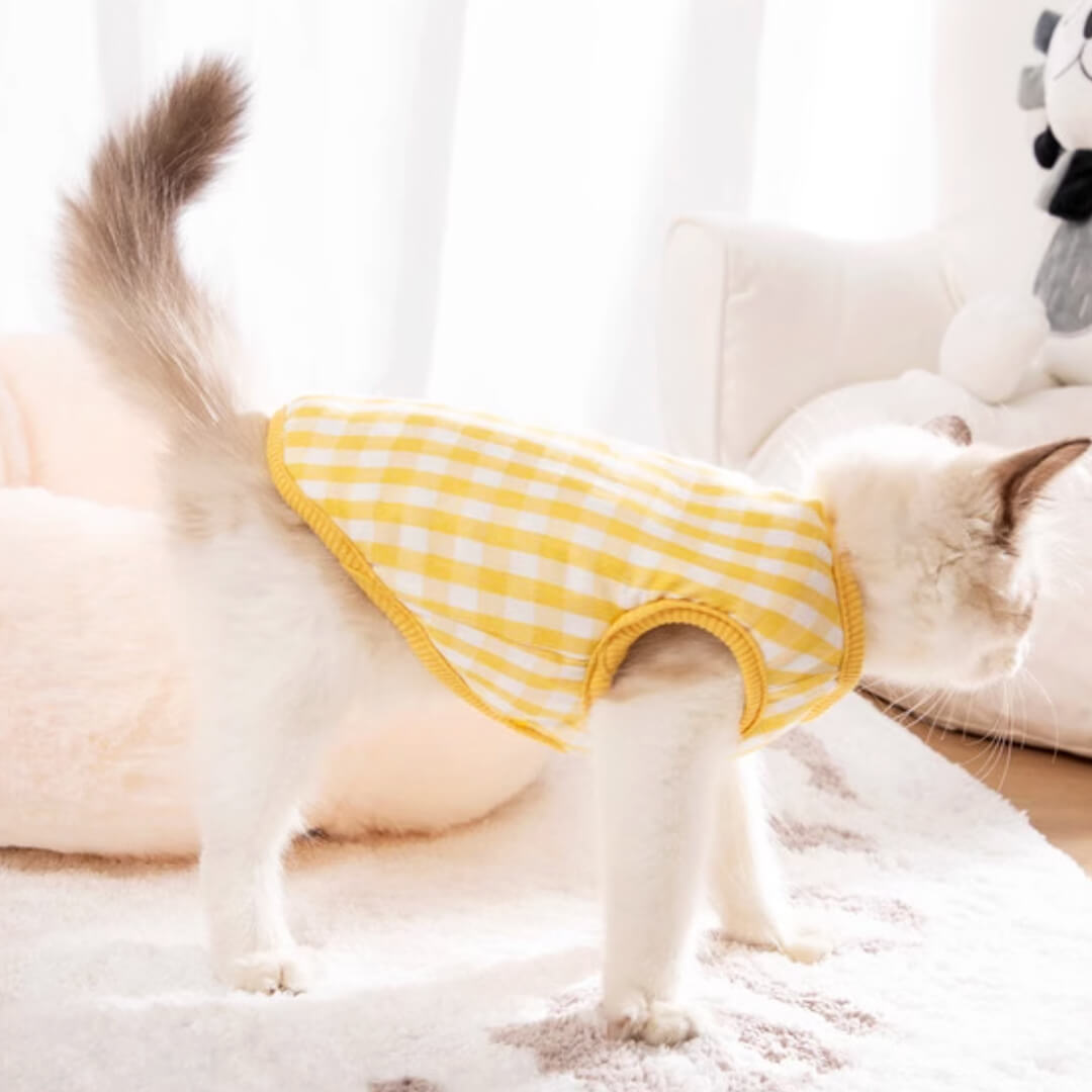 Missy Cat Jacket