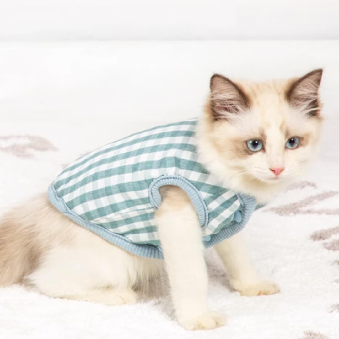 Missy Cat Jacket