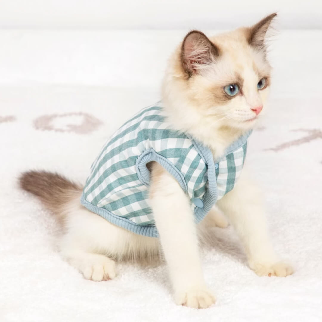 Missy Cat Jacket