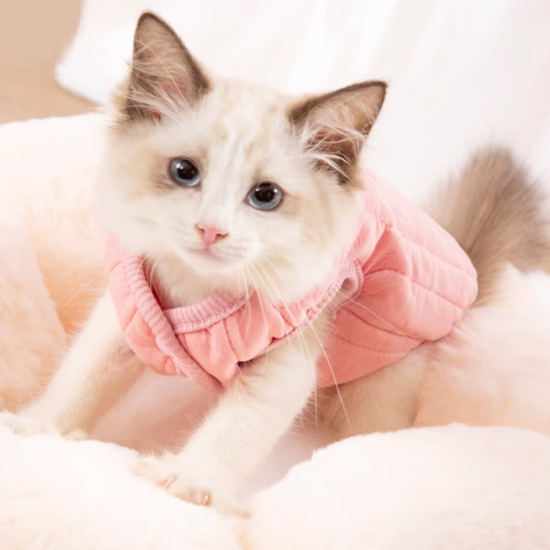 Missy Cat Jacket