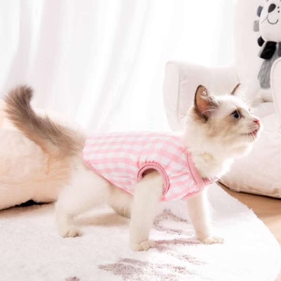 Missy Cat Jacket