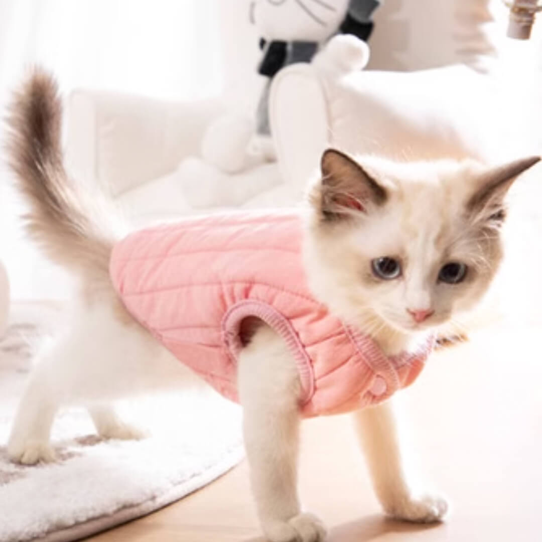 Missy Cat Jacket