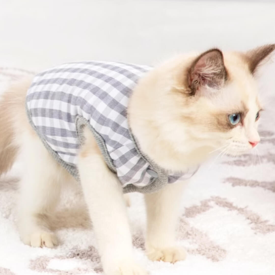 Missy Cat Jacket