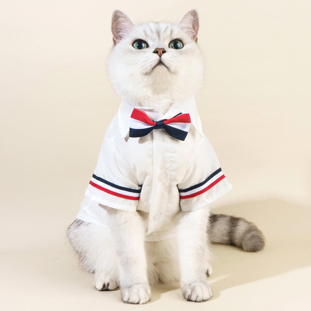 MoMo Cat Shirt & Bow Set
