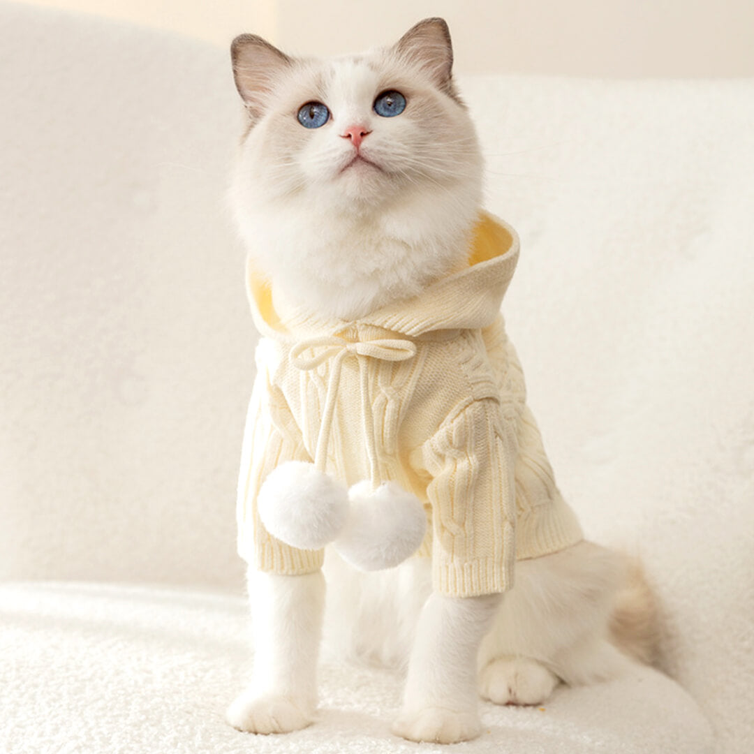 MoMo Knit Cat Hoodie