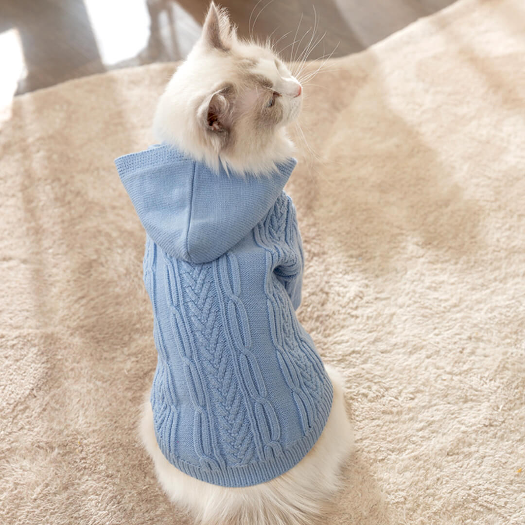 MoMo Knit Cat Hoodie