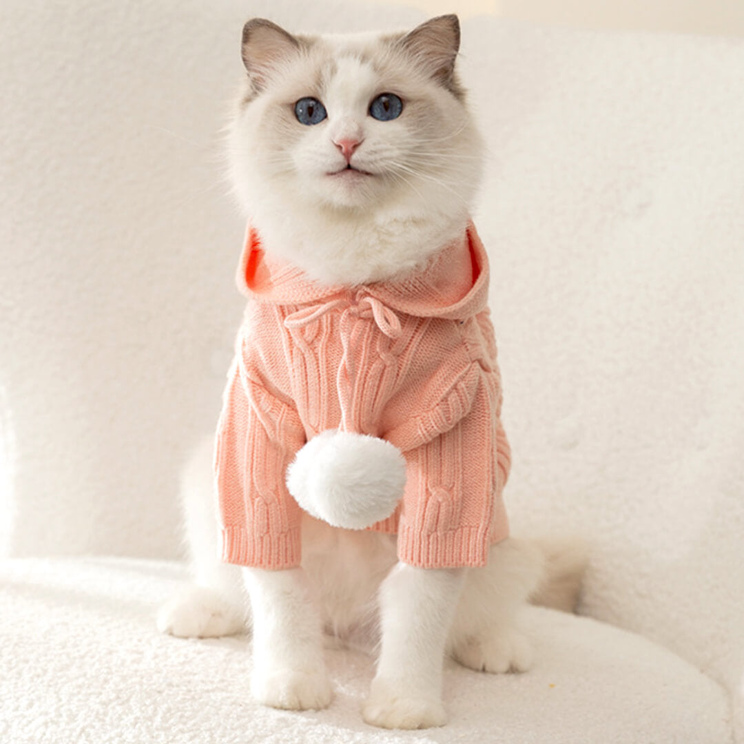 MoMo Knit Cat Hoodie