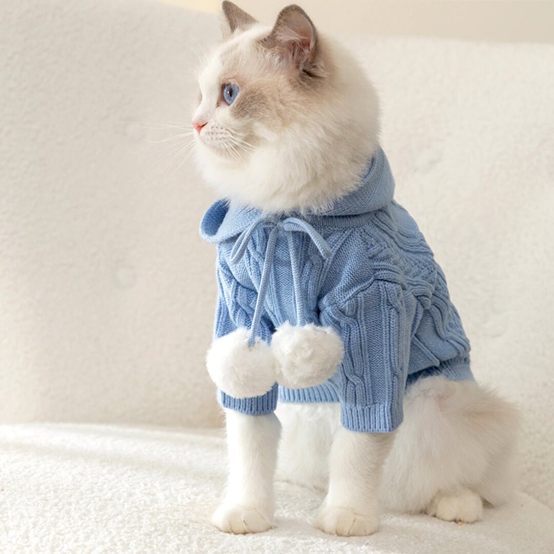 MoMo Knit Cat Hoodie