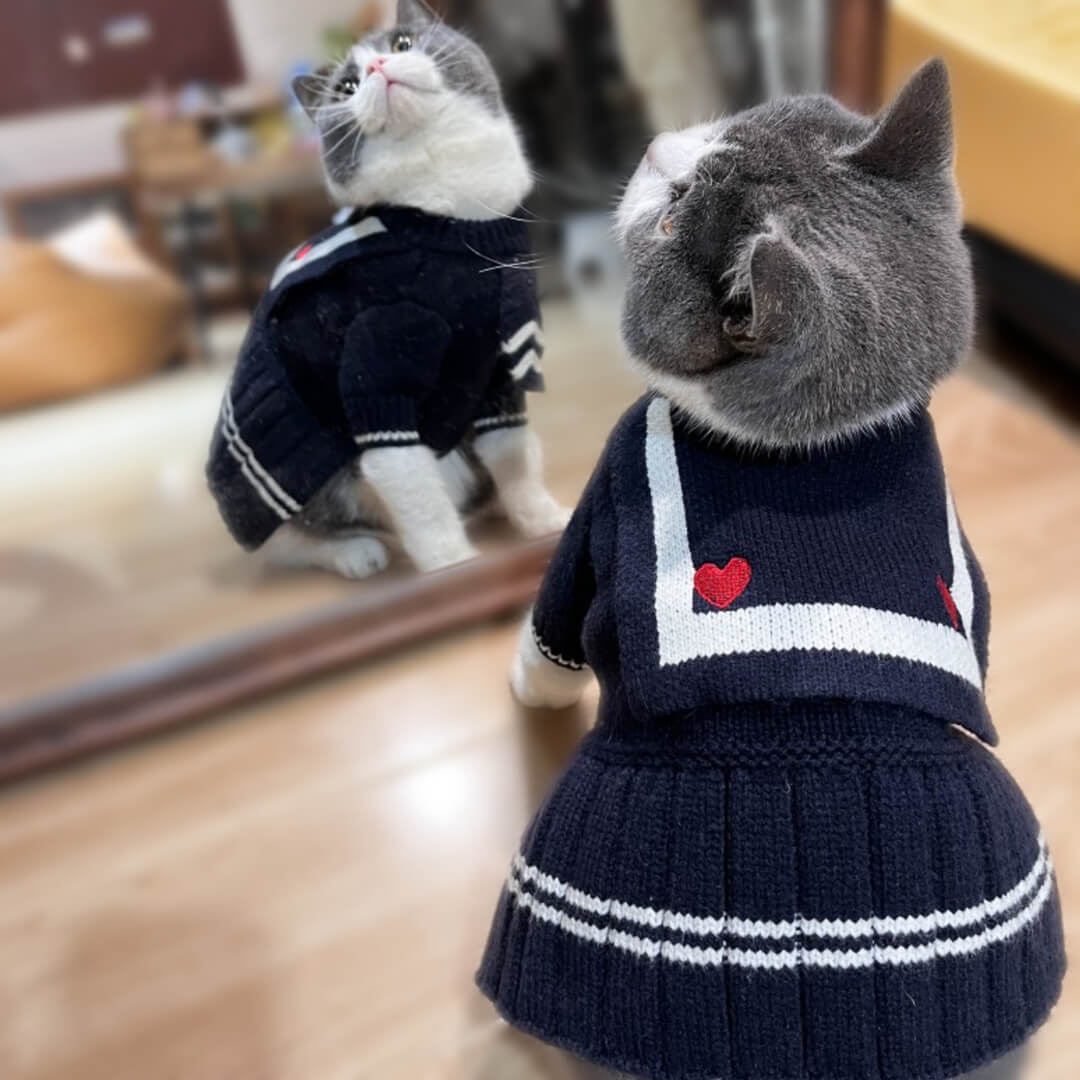 Noelle Cat Dress