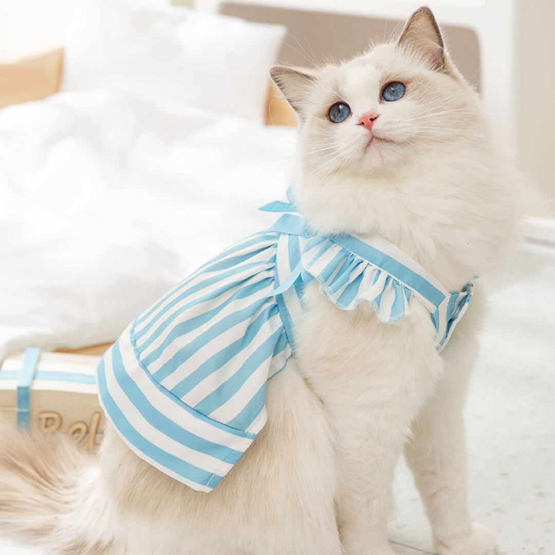 Nova Cat Dress