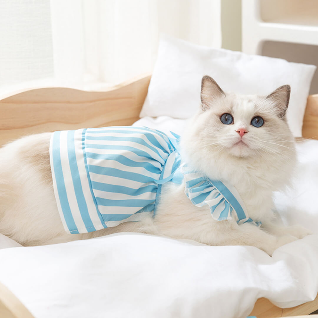 Nova Cat Dress
