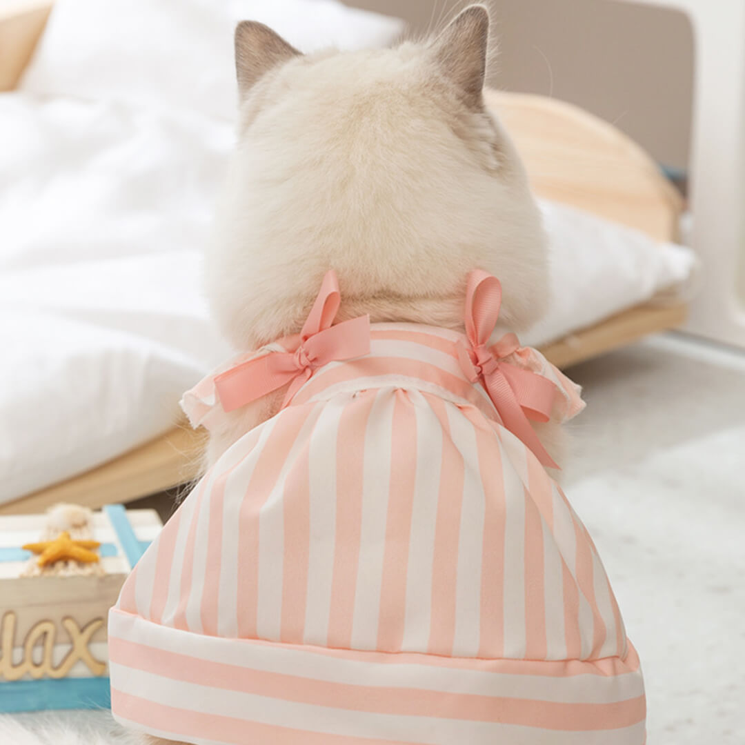 Nova Cat Dress