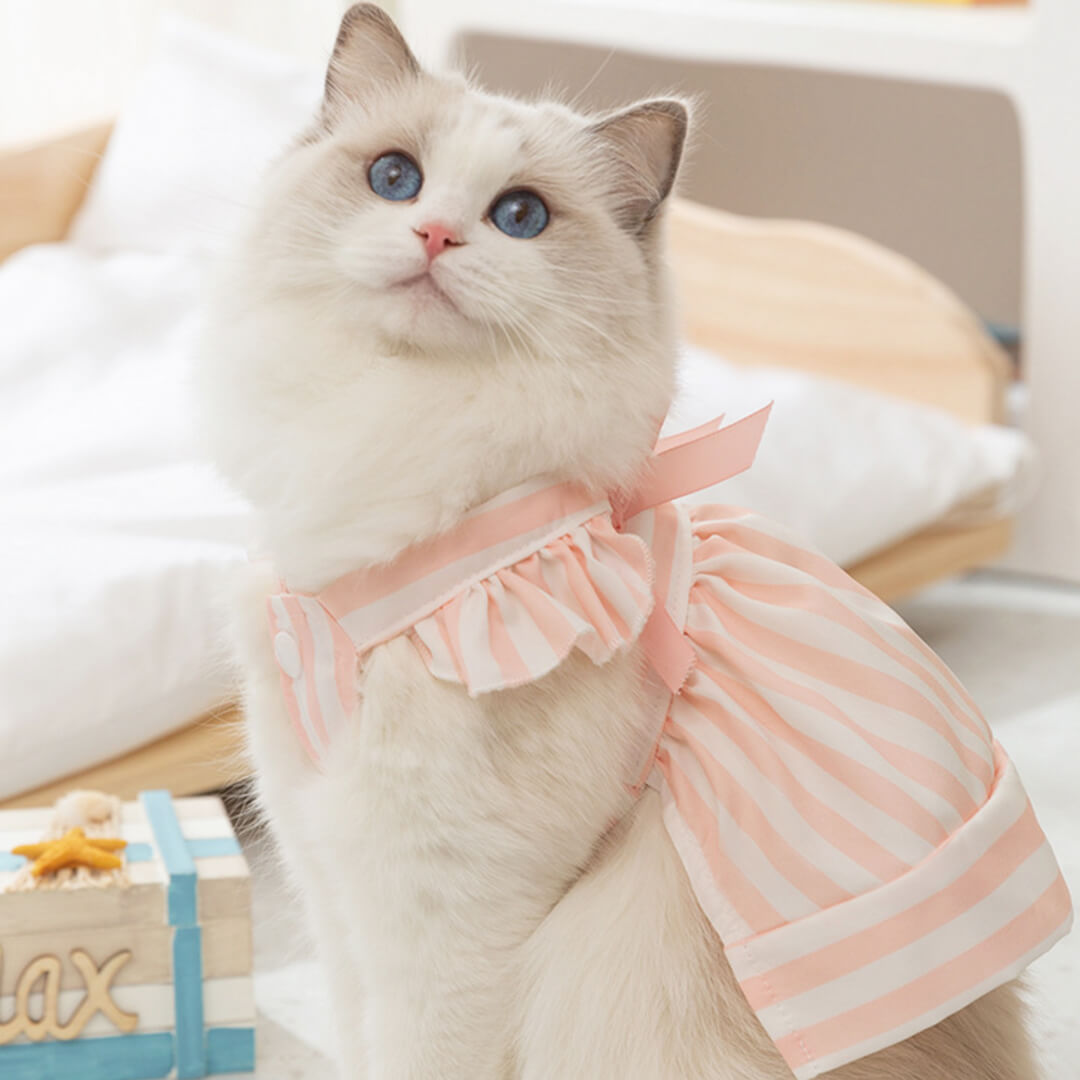 Nova Cat Dress
