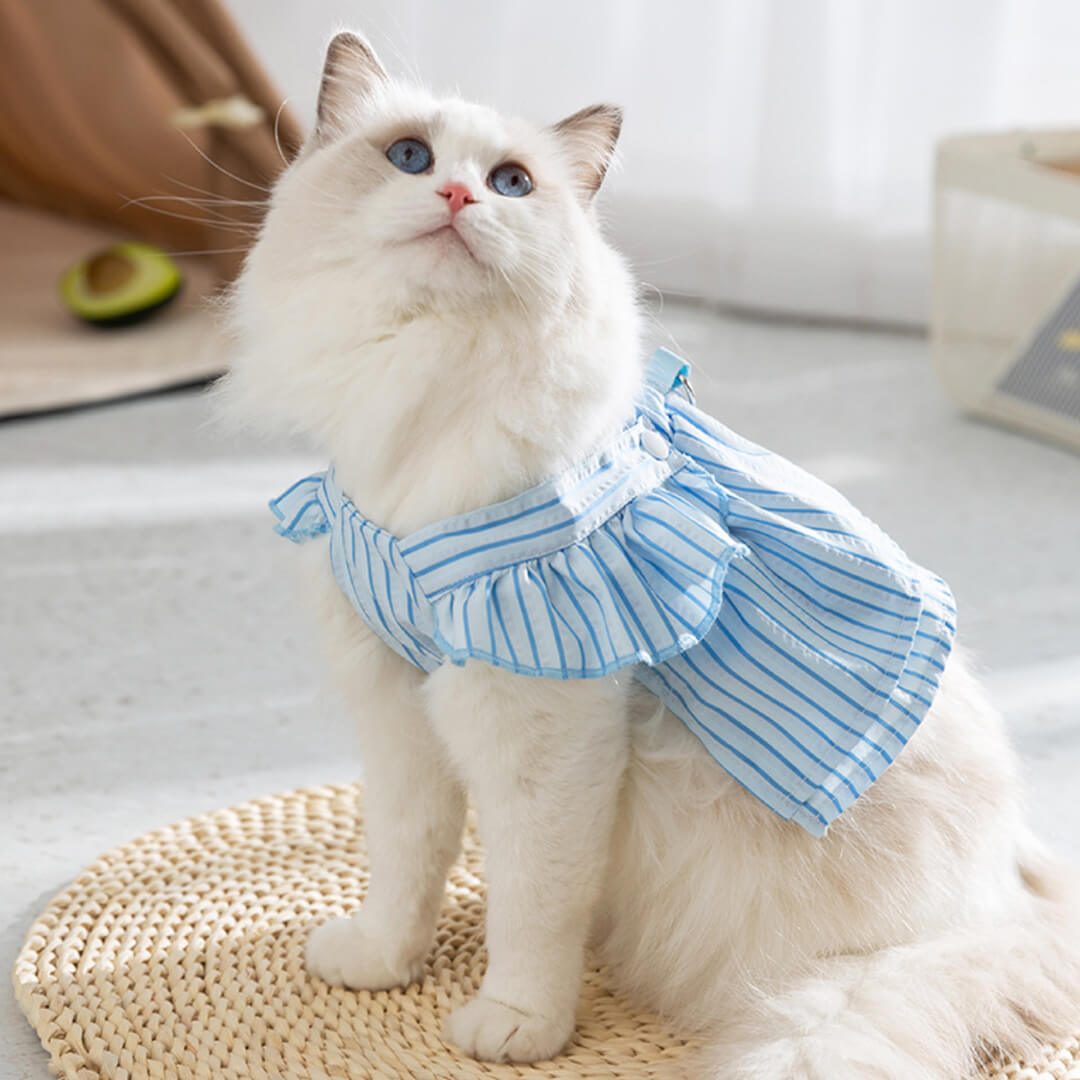 Nova Cat Vest