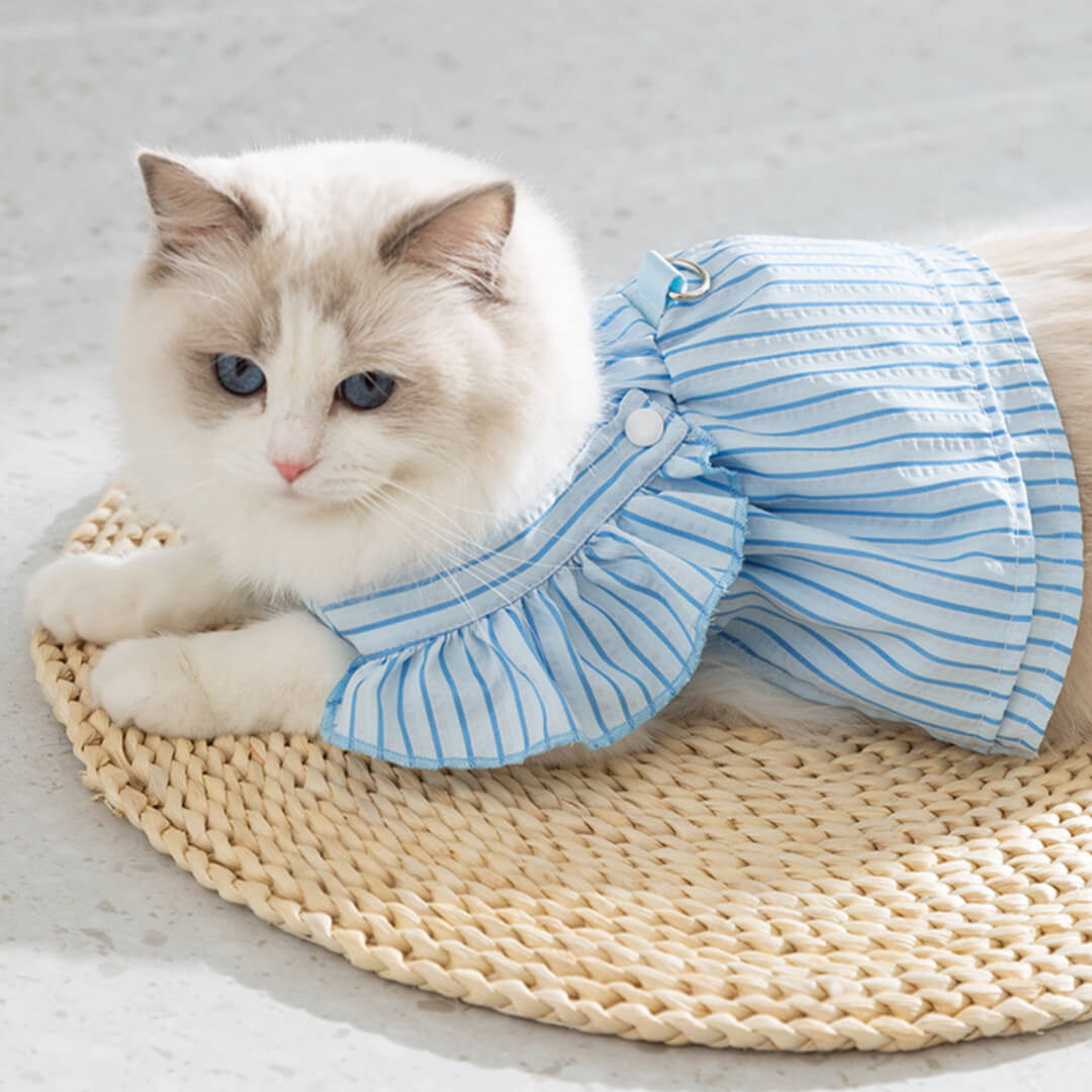 Nova Cat Vest