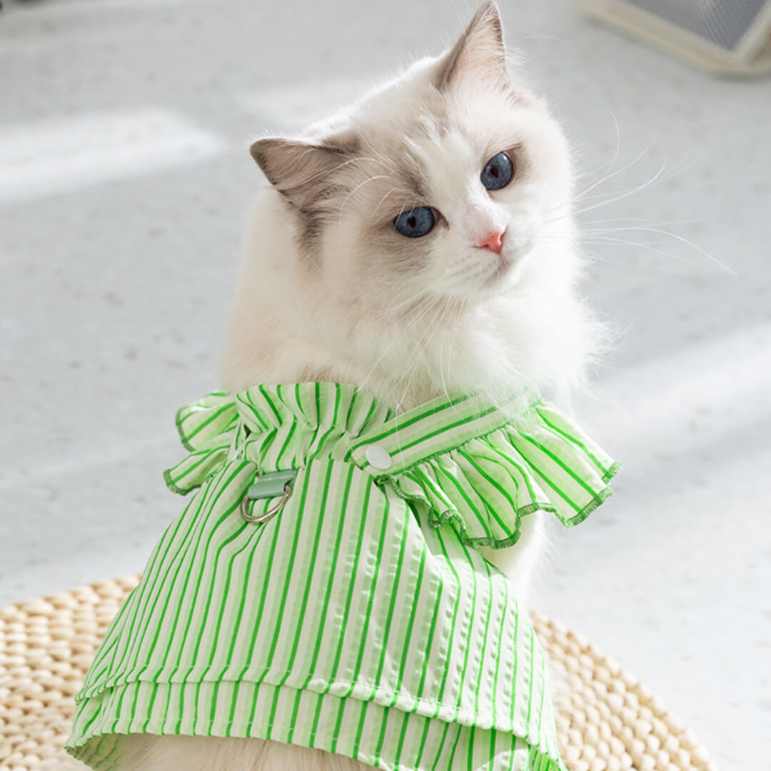 Nova Cat Vest