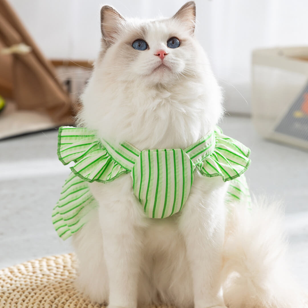 Nova Cat Vest