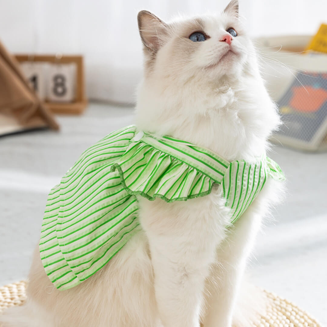 Nova Cat Vest