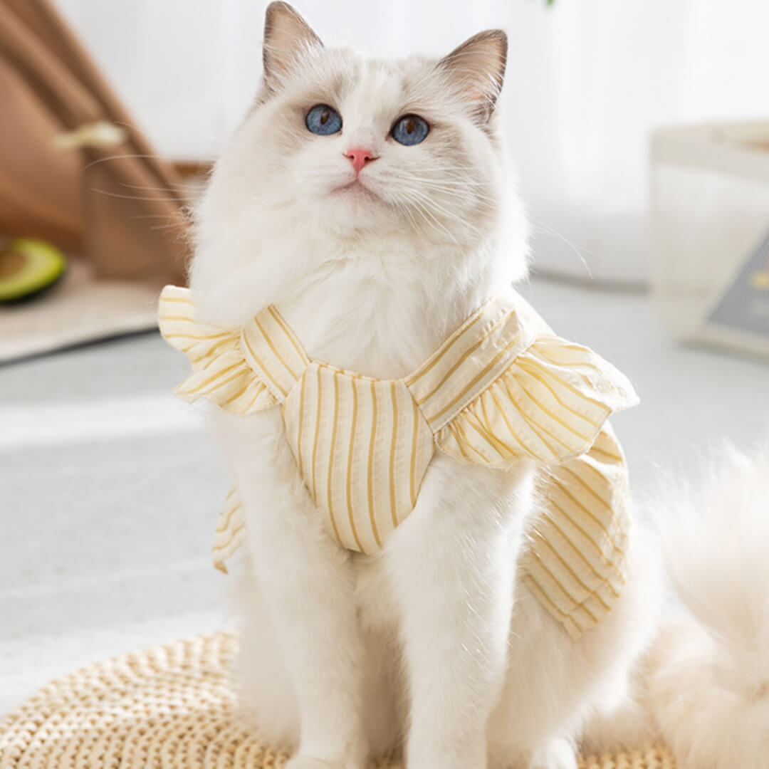 Nova Cat Vest