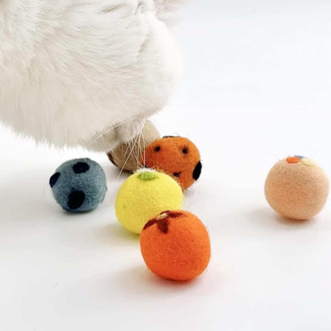 Nutty Veggie Cat Ball Toys - Set of 6