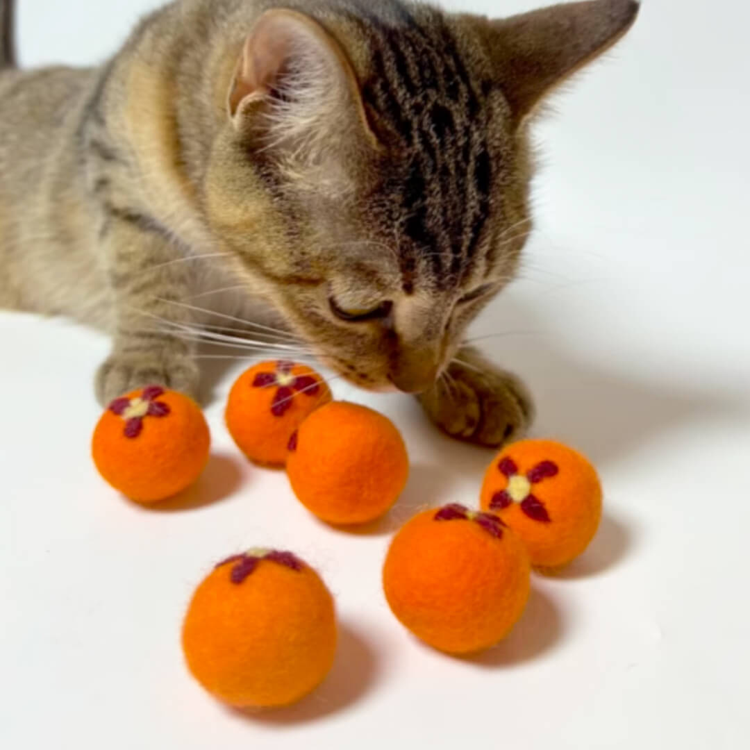 Nutty Veggie Cat Ball Toys - Set of 6