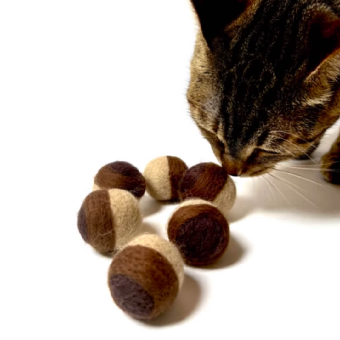 Nutty Veggie Cat Ball Toys - Set of 6