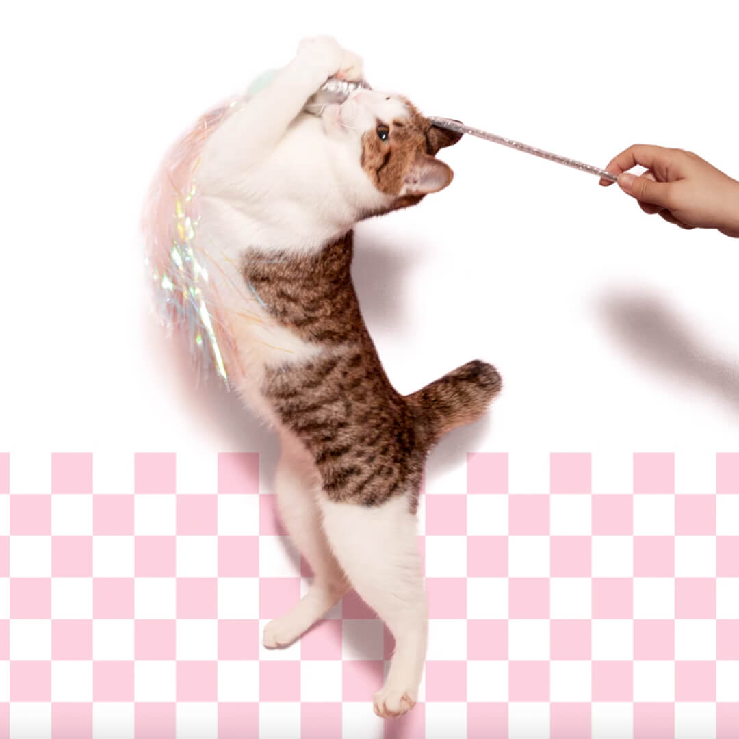 Perfume Cat Wand Toy