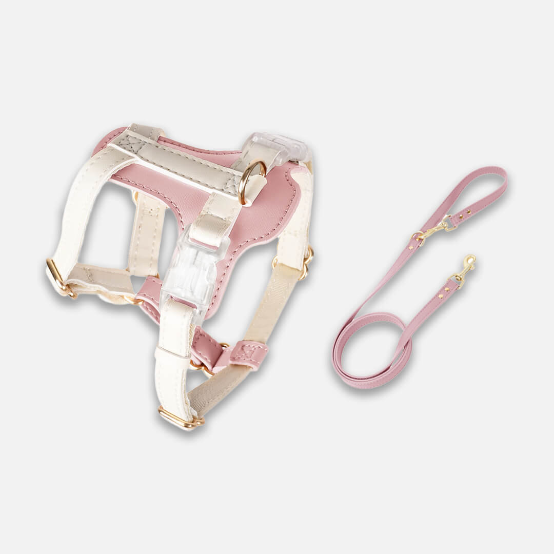 Phoenix Cat Harness & Leash Set