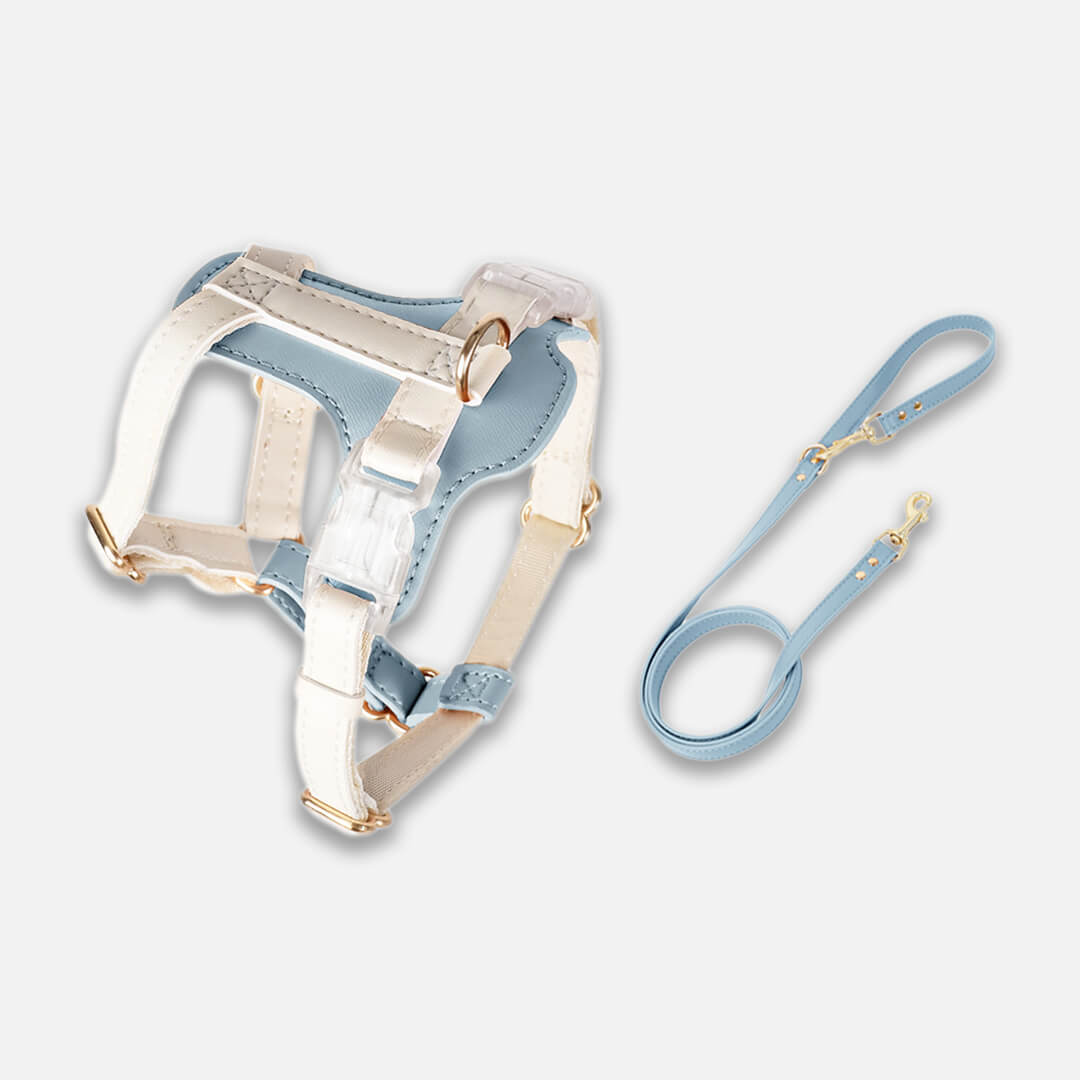 Phoenix Cat Harness & Leash Set