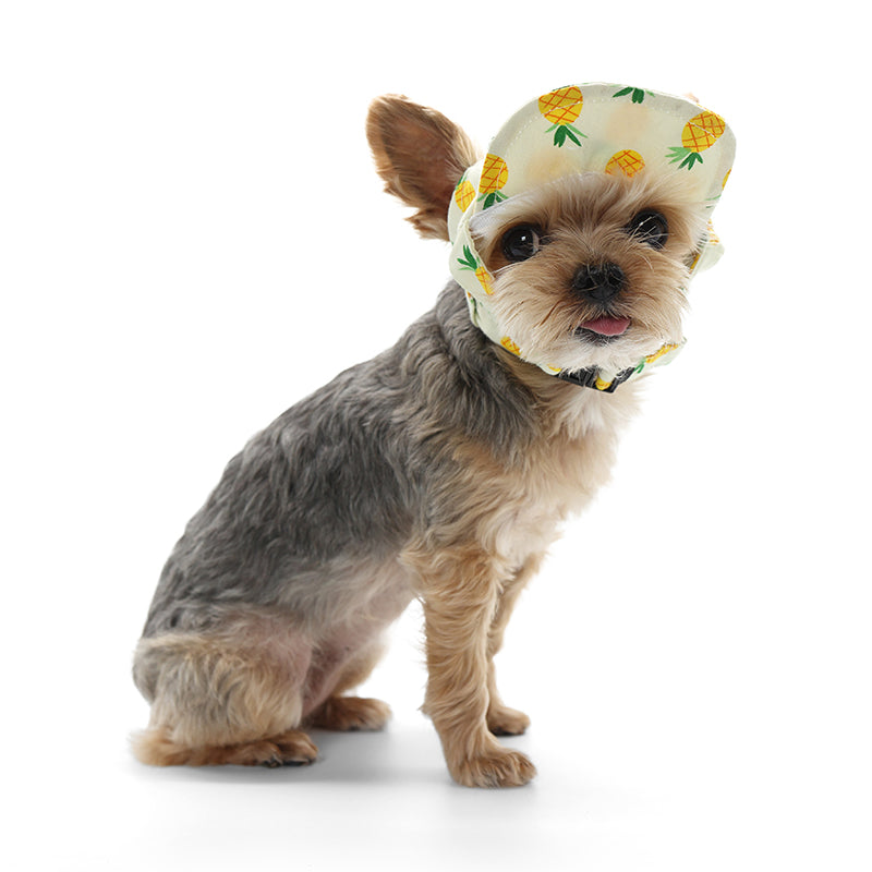 Pineapple Yellow Dog Hat
