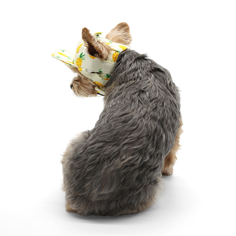 Pineapple Yellow Dog Hat