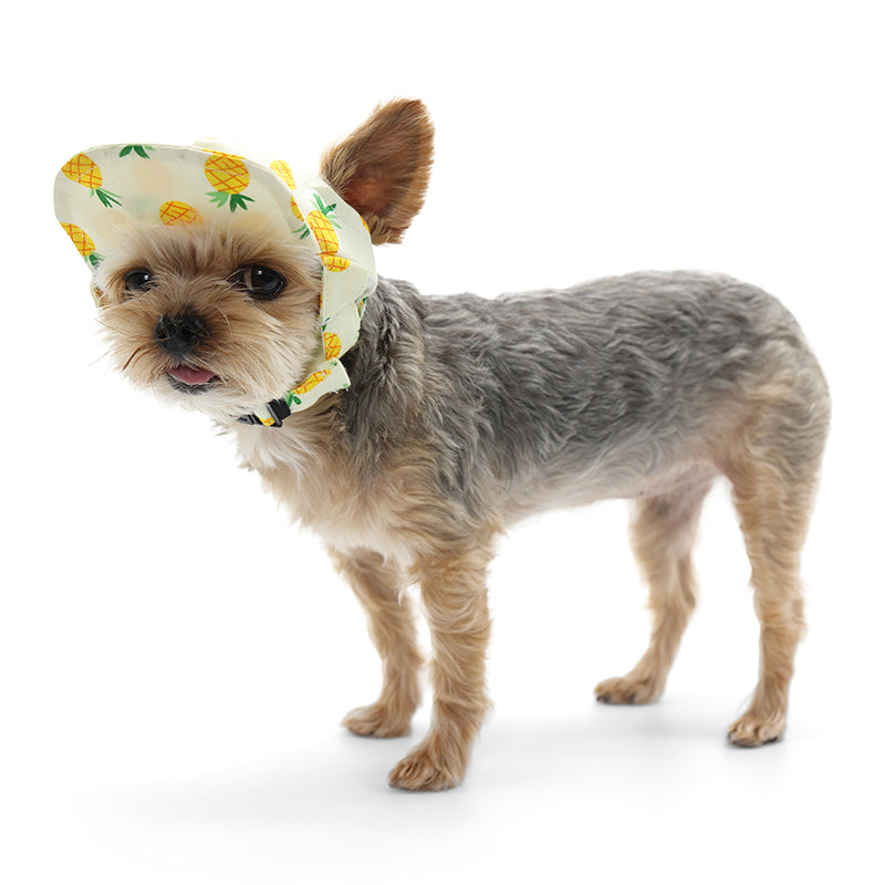 Pineapple Yellow Dog Hat