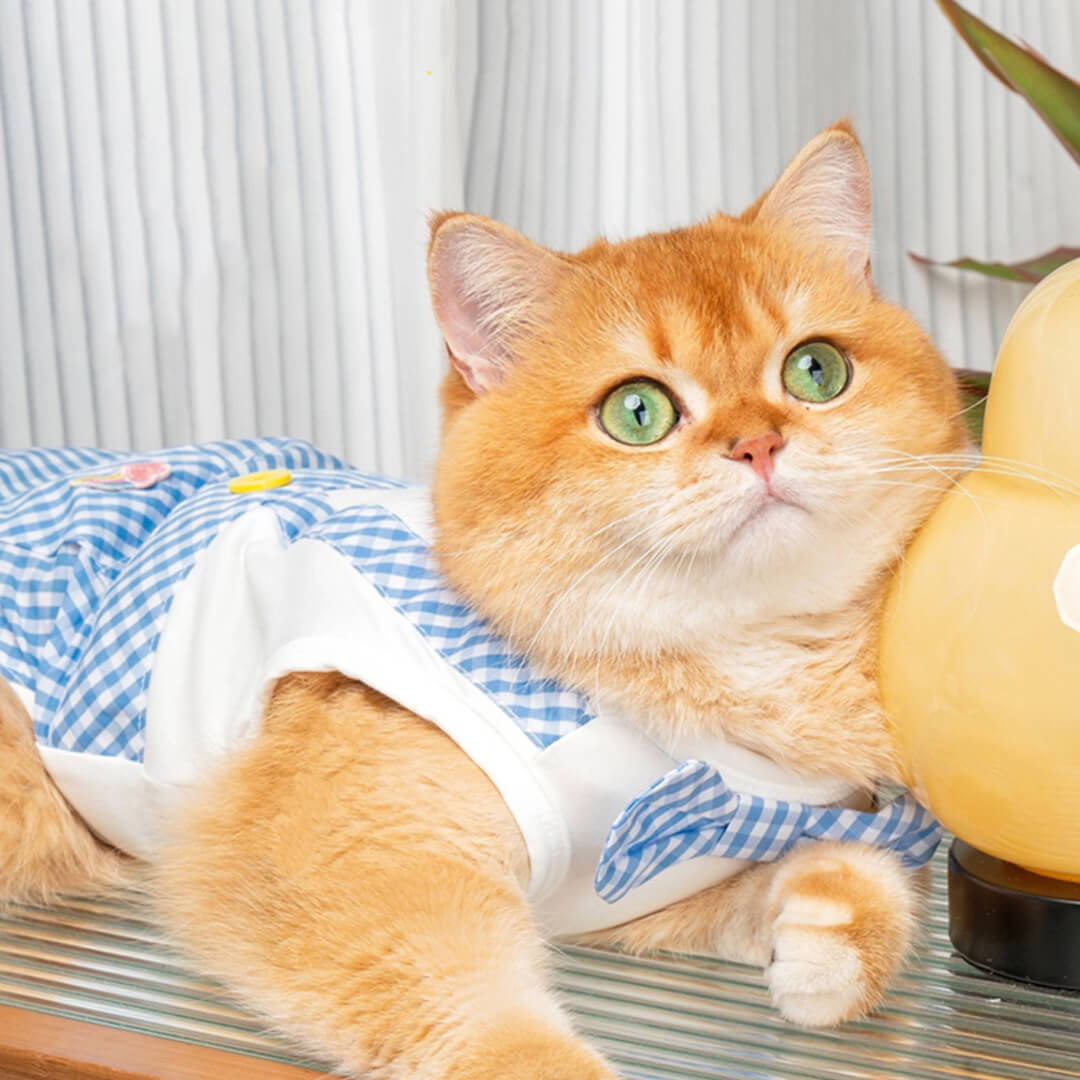 Poppy Cat Vest