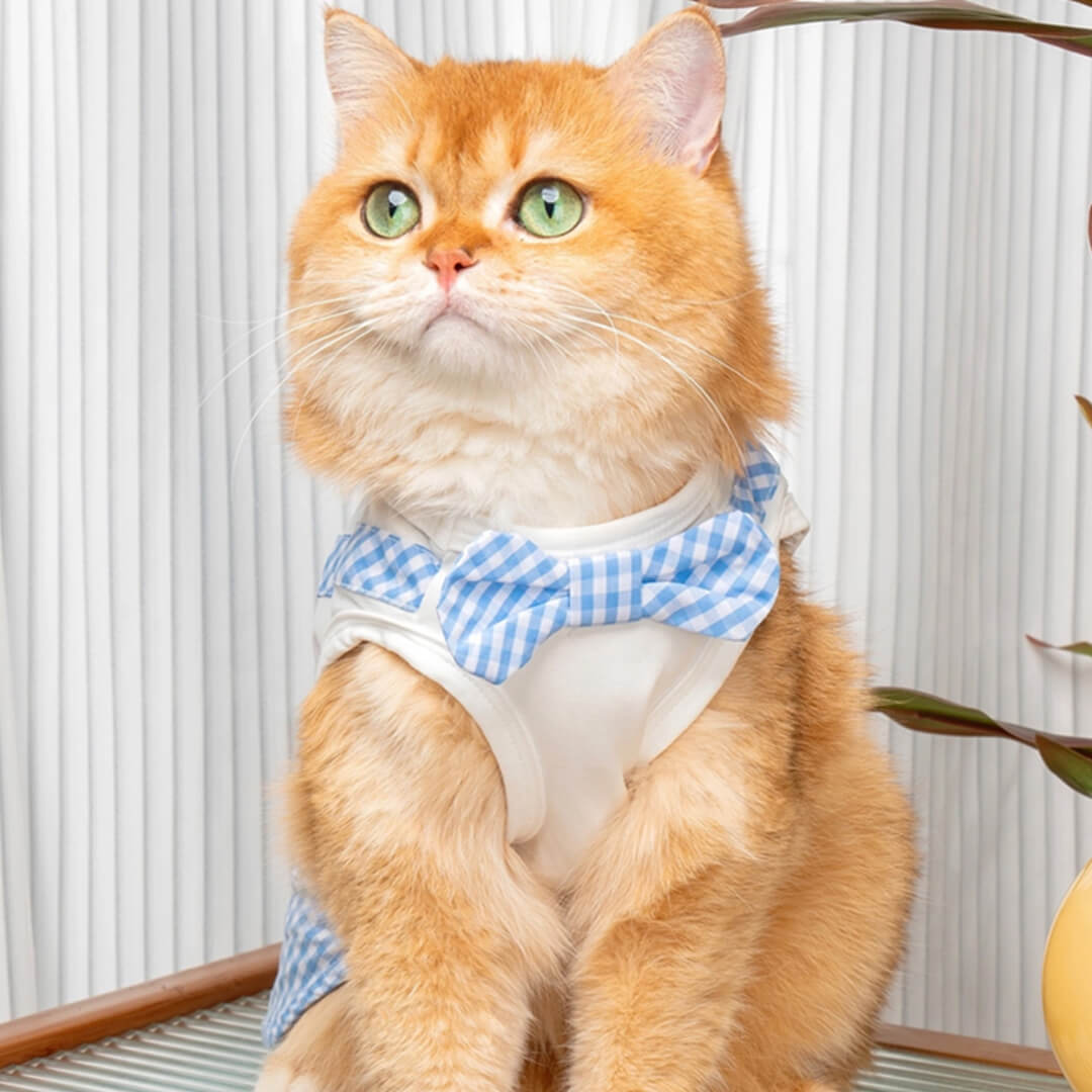 Poppy Cat Vest