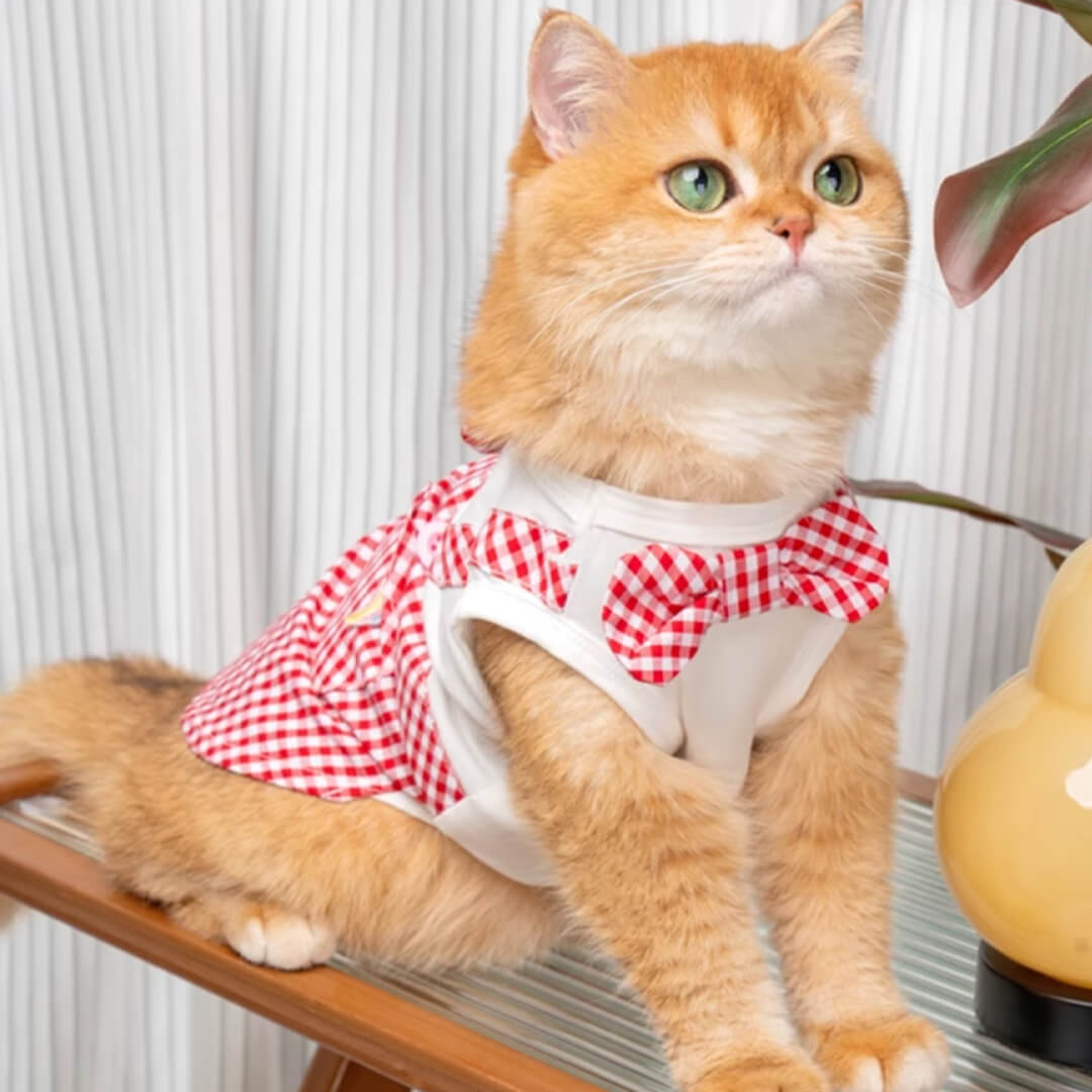 Poppy Cat Vest