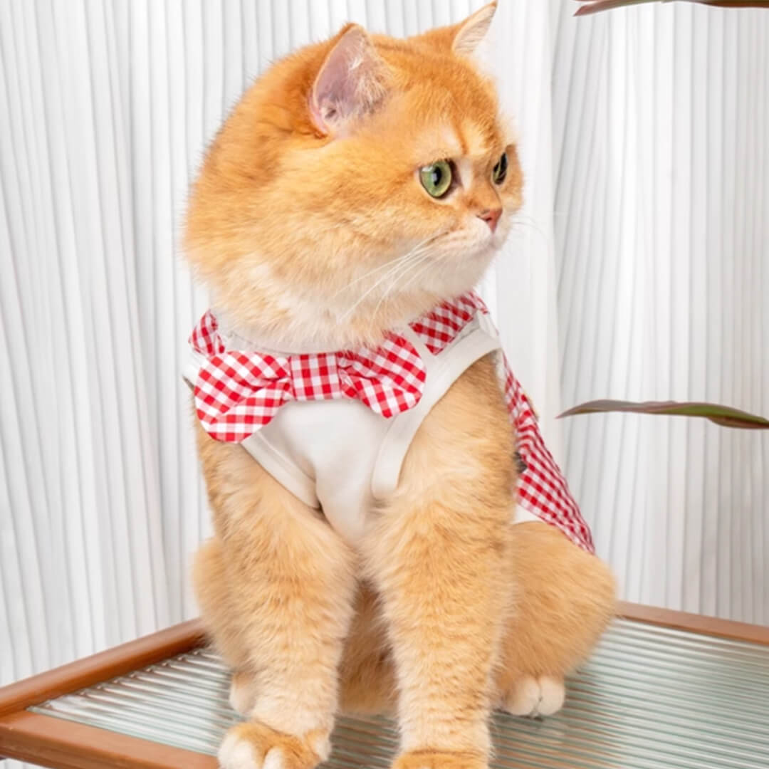 Poppy Cat Vest