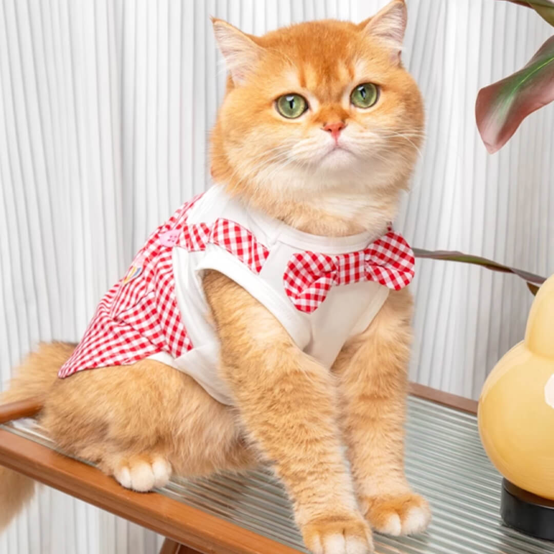 Poppy Cat Vest