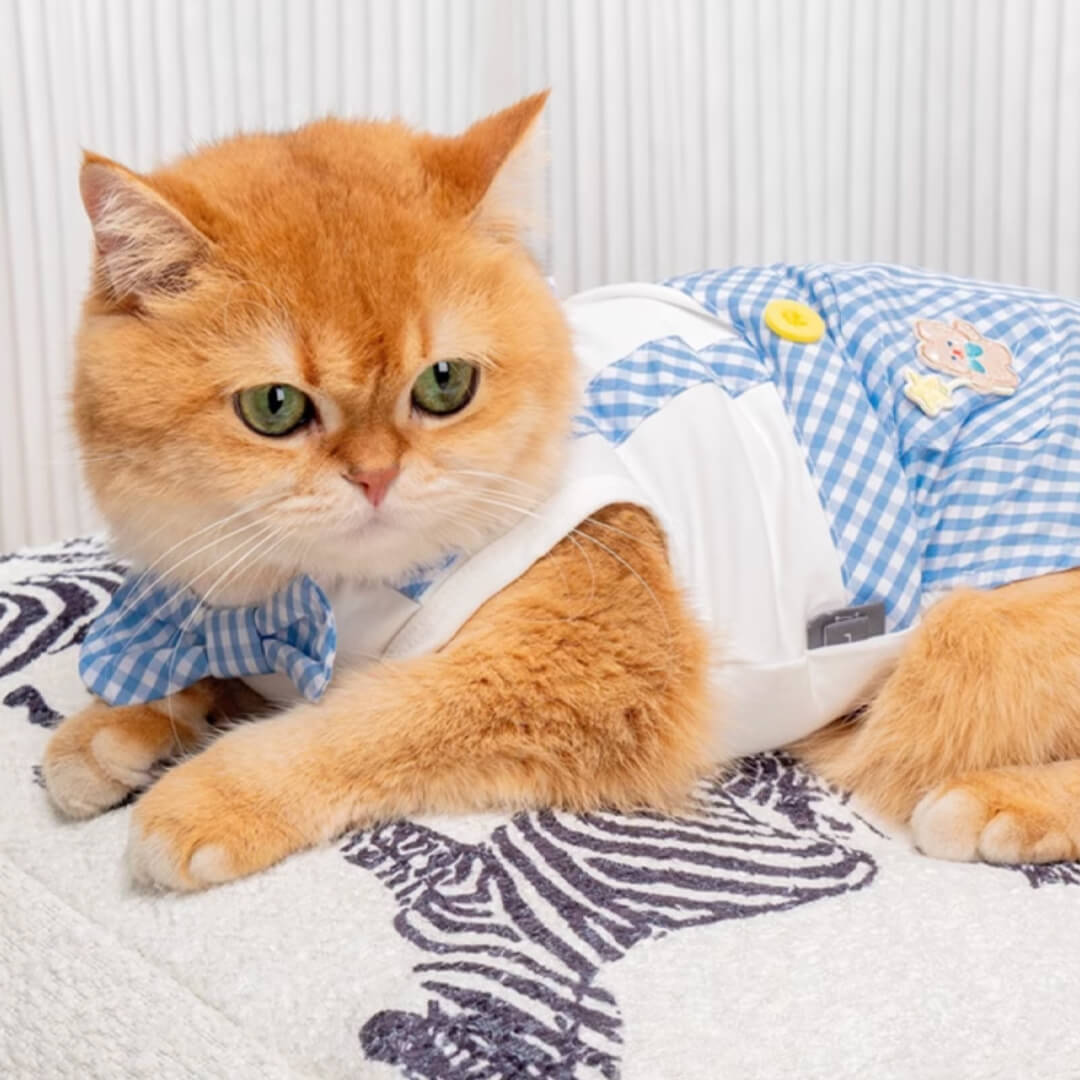 Poppy Cat Vest