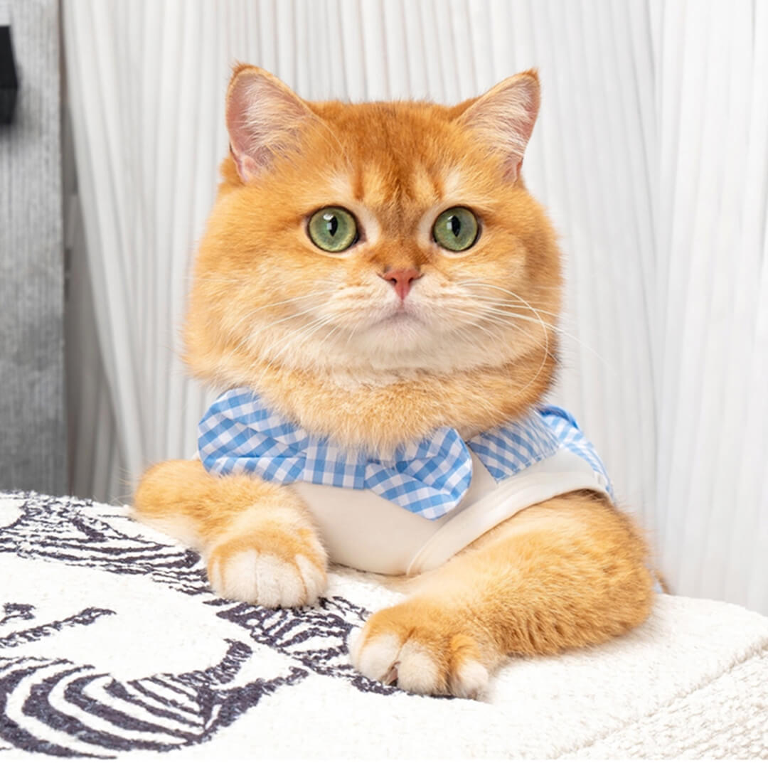Poppy Cat Vest