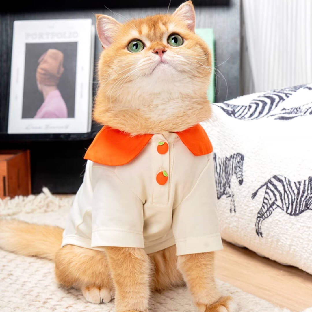 Poppy Cat Shirt