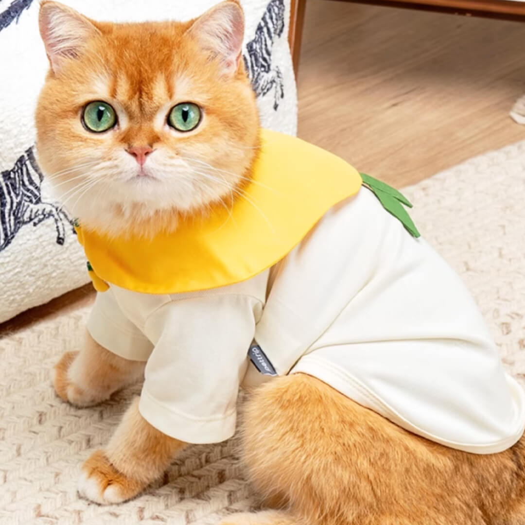 Poppy Cat Shirt