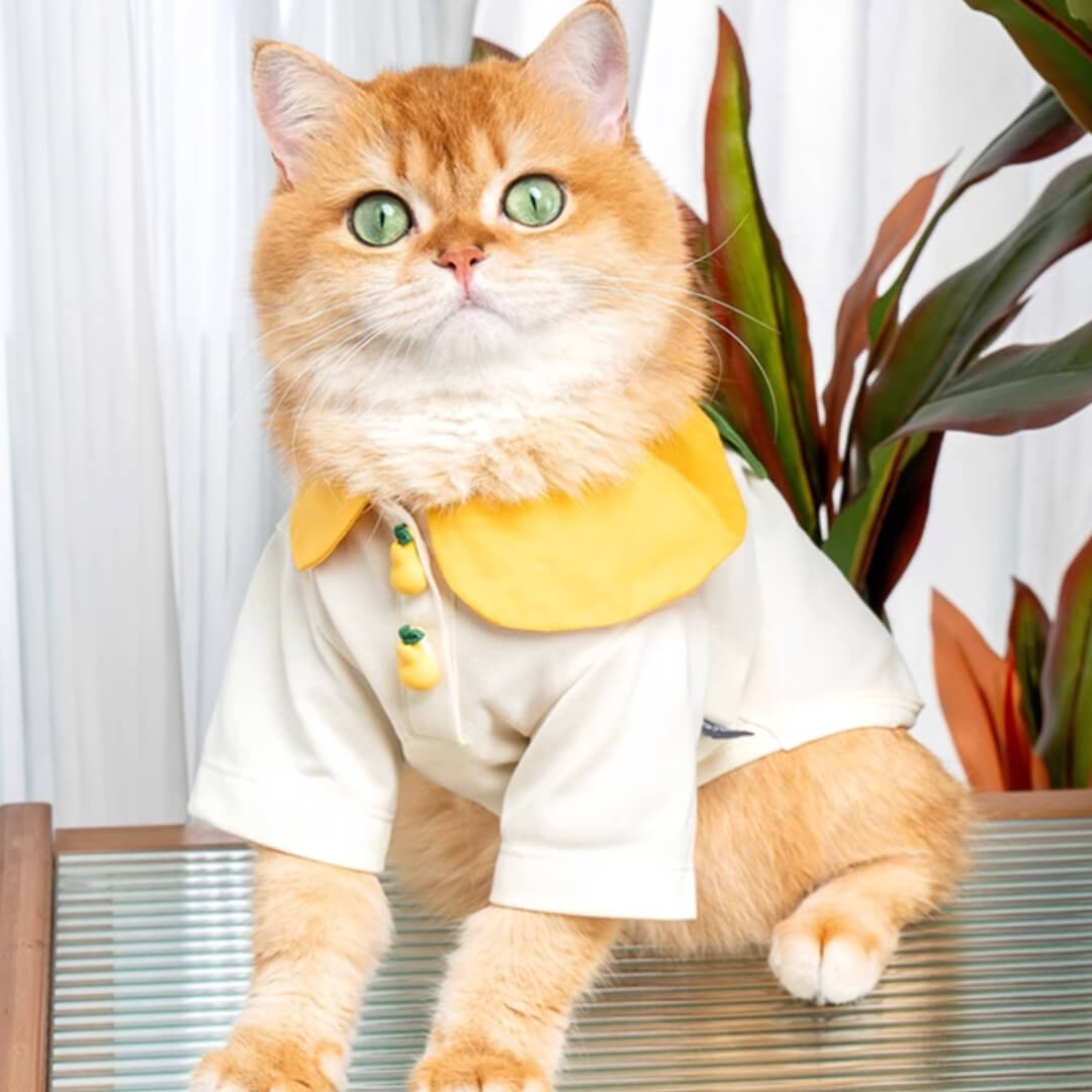 Poppy Cat Shirt