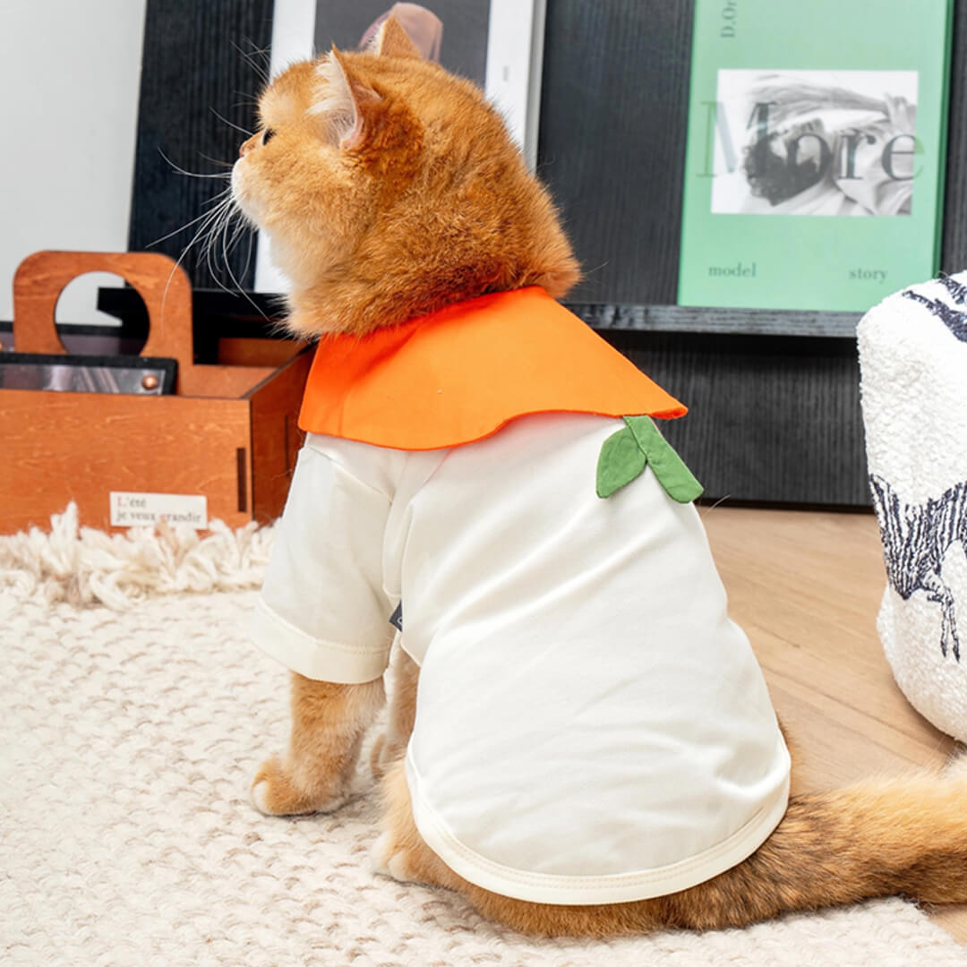 Poppy Cat Shirt