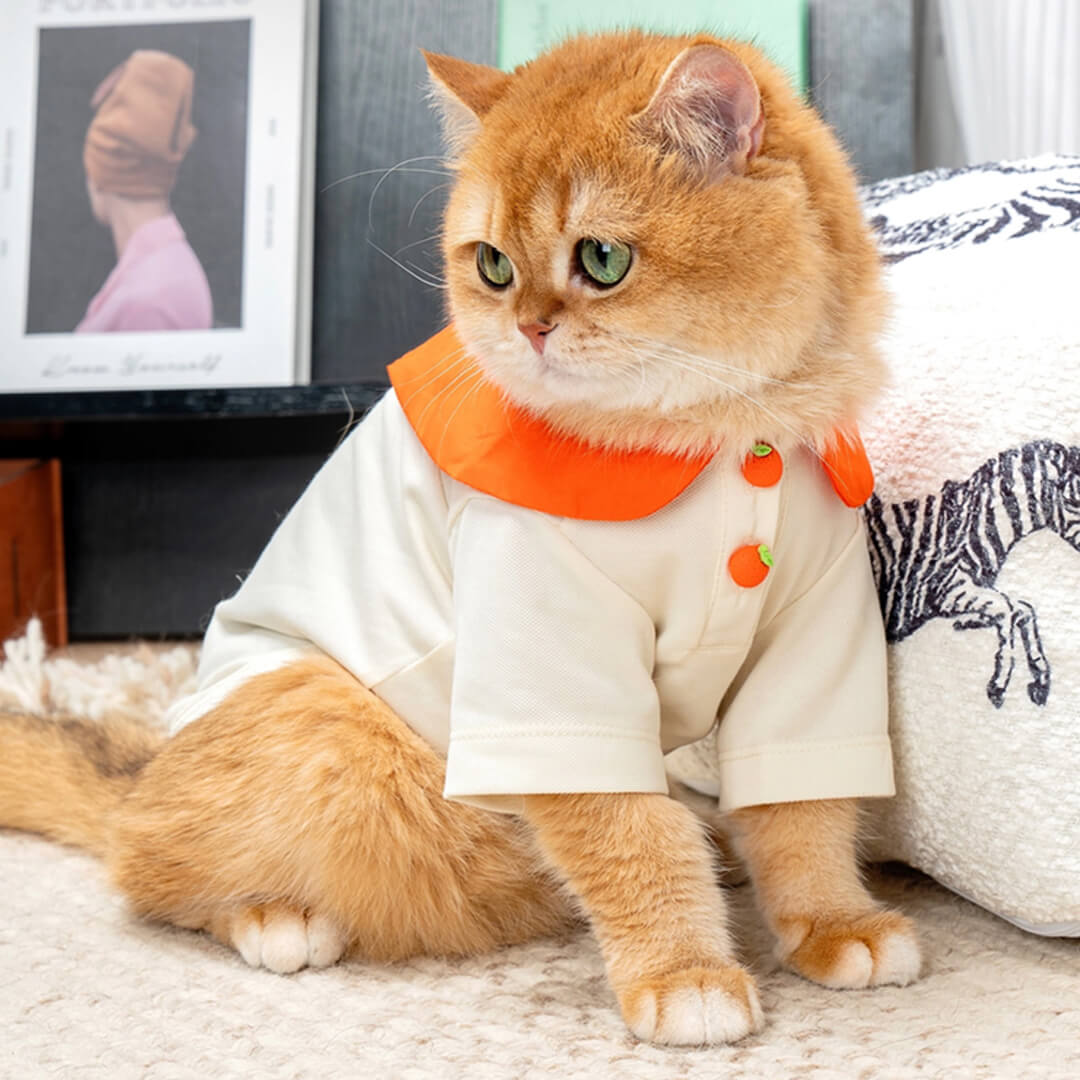 Poppy Cat Shirt