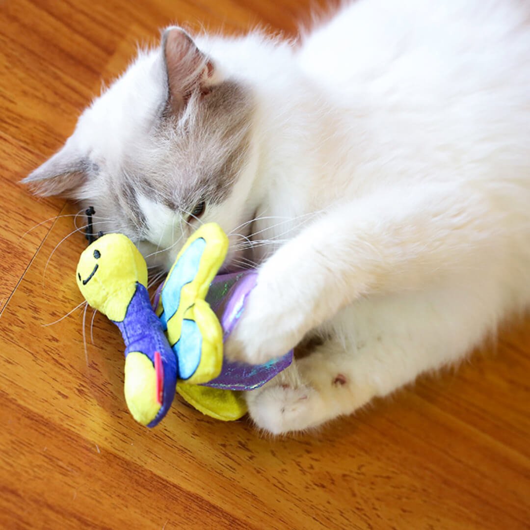 Qmonster Garden Furriends Cat Teaser Wand