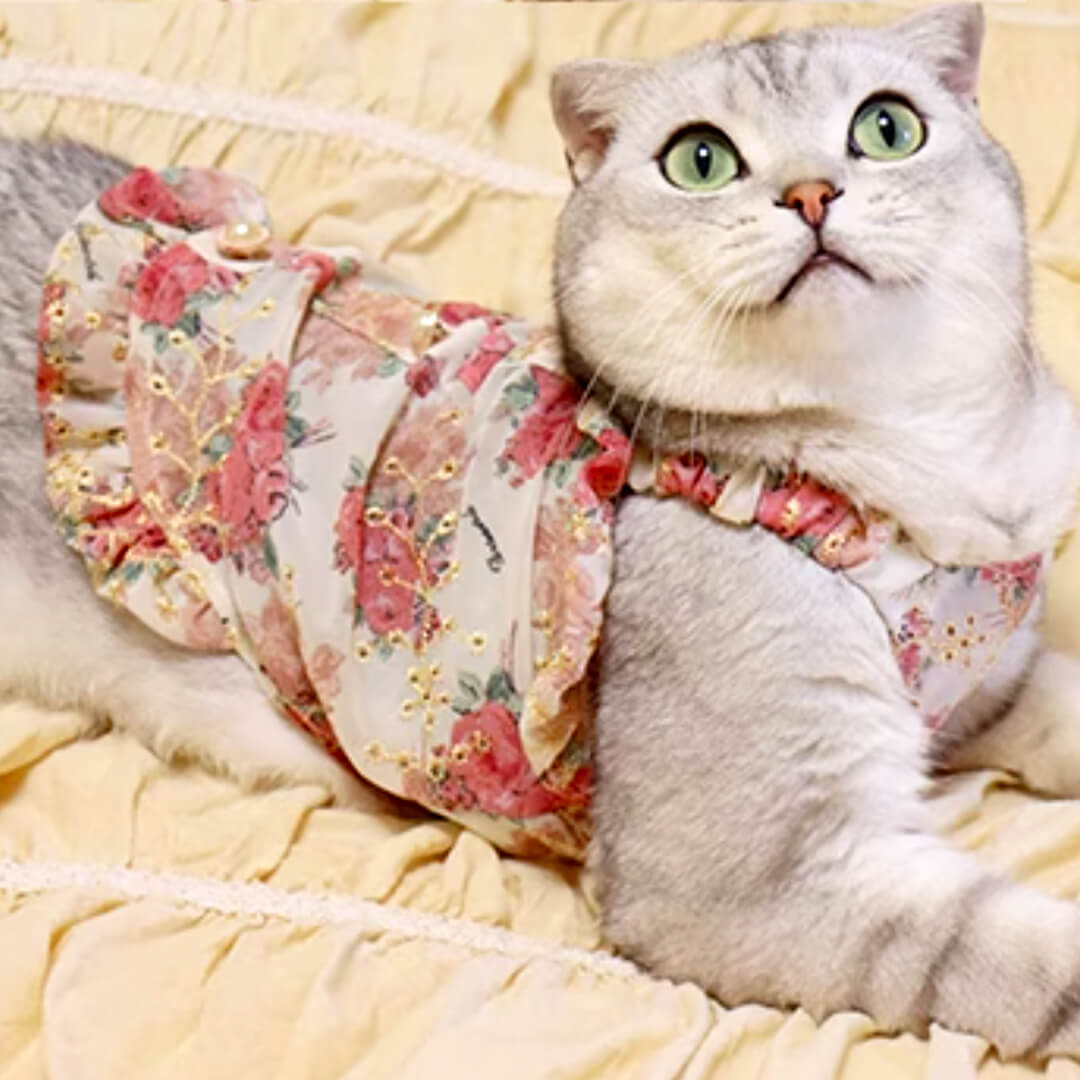 Flora Cat Dress